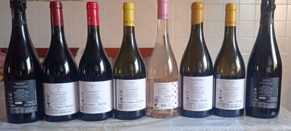 Controetichette vini Feudi Spada - Nuove annate