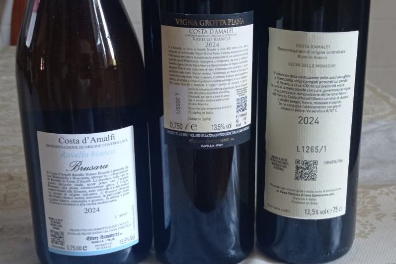 Controetichette vini bianchi Ettore Sammarco