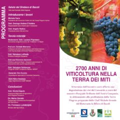 LOCANDINA CAMPI FLEGREI PROGRAMMA 23 NOVEMBRE