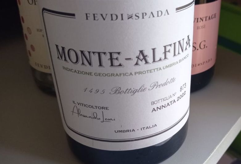 Monte-Alfina Umbria Bianco Igp 2022 - Feudi Sapda