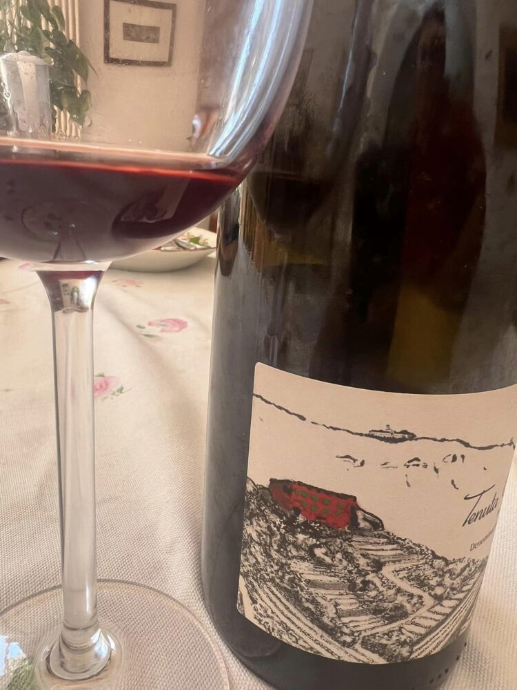 Tenuta Camaldoli 2011 Campi Flegrei doc Cantine Astroni