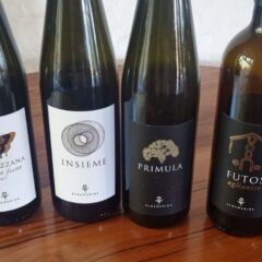Vini Albamarina - Nuove annate