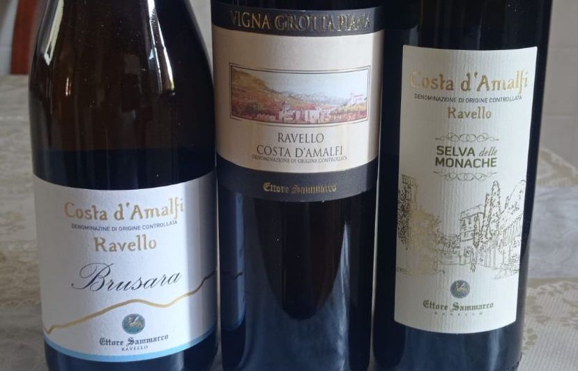 Vini bianchi Ettore Sammarco