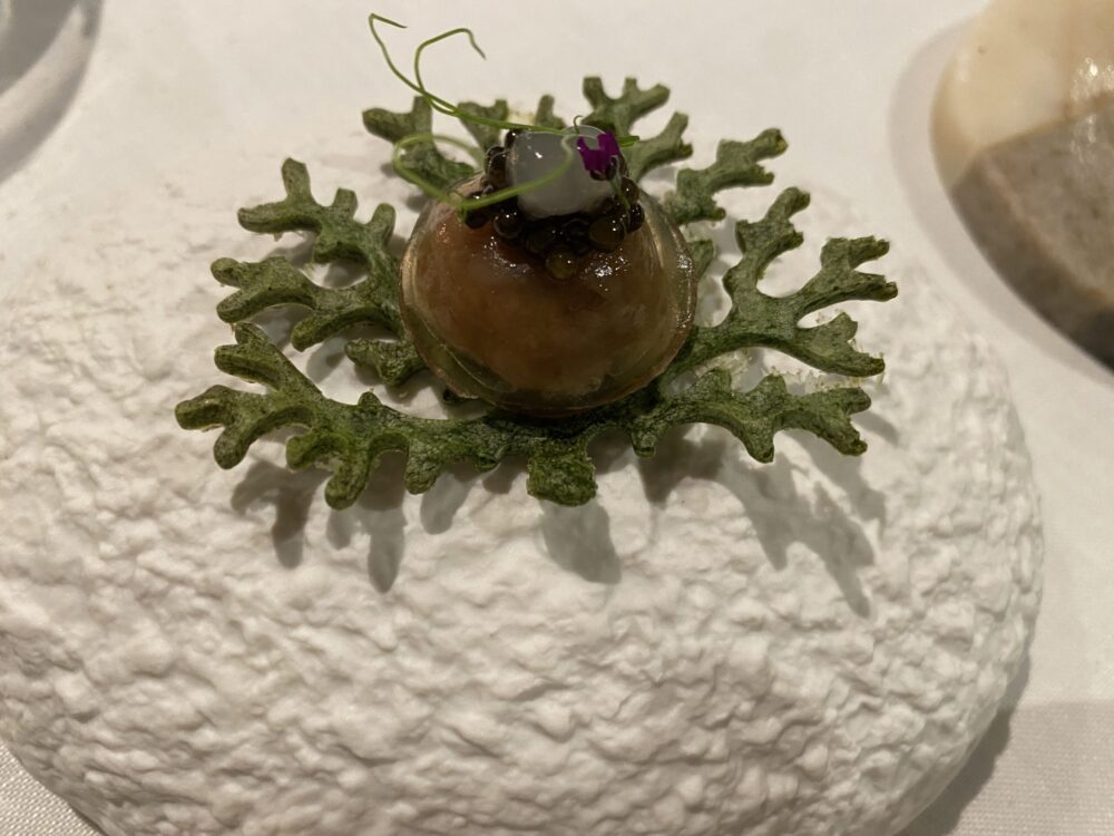 Bocconcino - bon bon di tonno e caviale