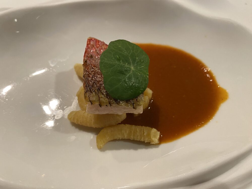 Bocconcino - passatelli e cacciucco