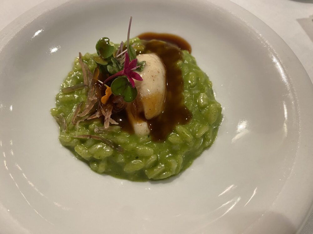 Bocconcino - risotto ostriche e alghe