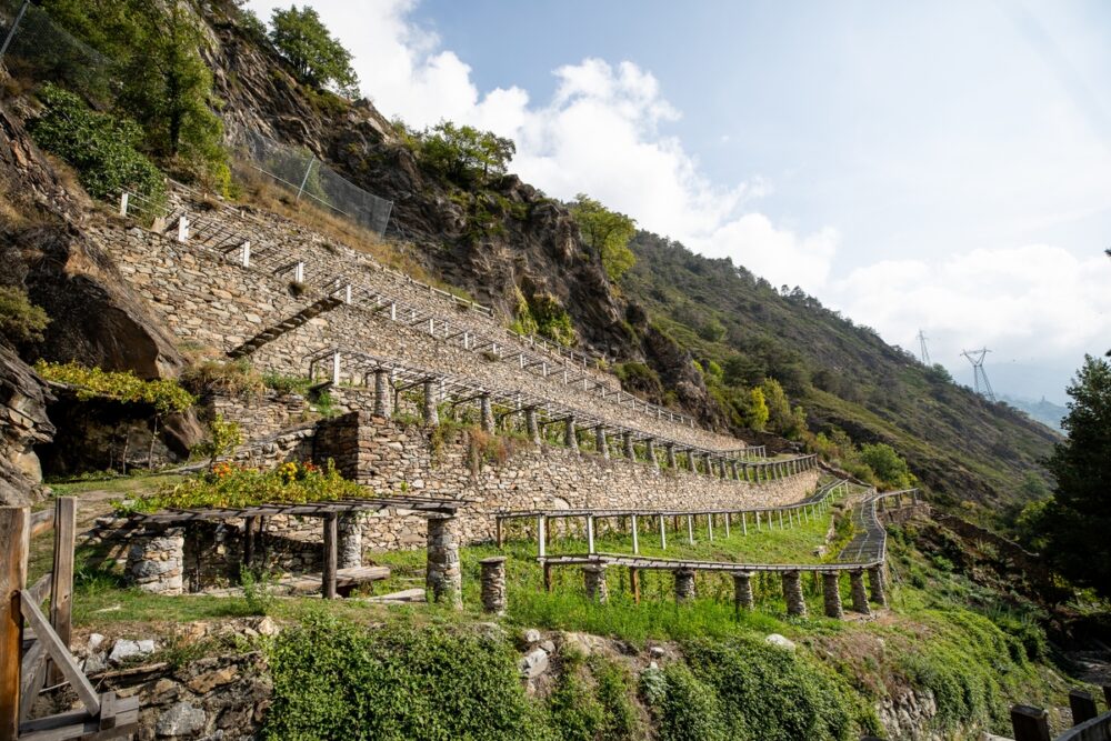 Val d’Aosta – Mont Blanc Vigneto