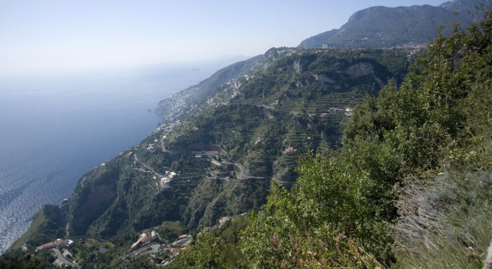 Viticoltura eroica – Costiera Amalfitana