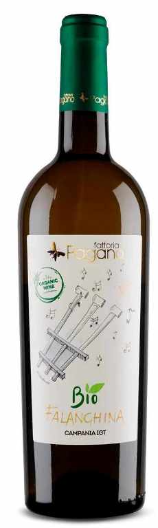 La Falanghina Bio di Fattoria Pagano