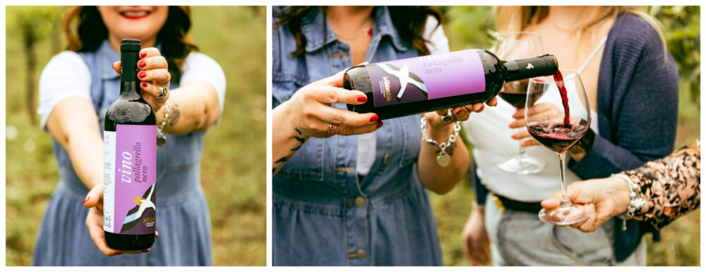 Le Ghiandaie, Pallagrello Nero