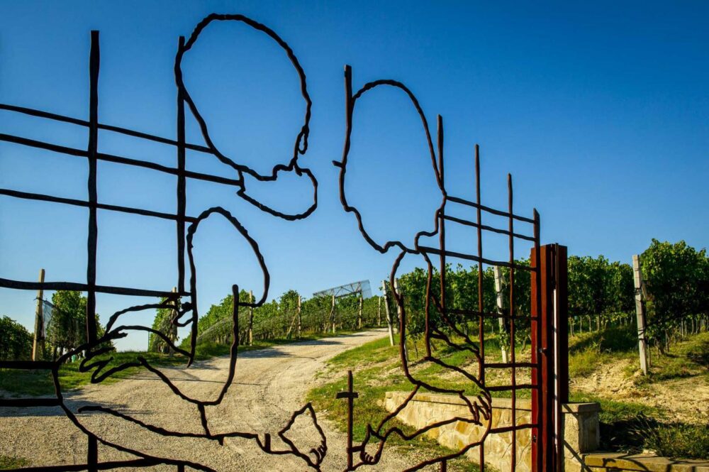 Ovunque Proteggimi Valerio Berruti