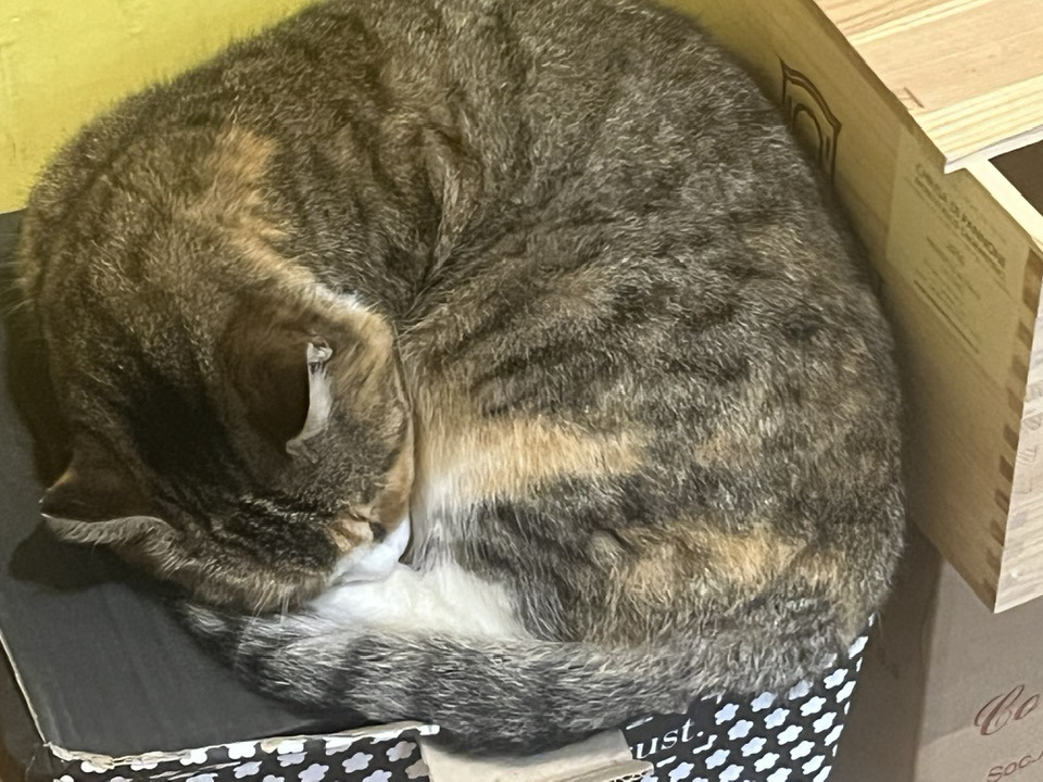 Pane e Vino - la mascotte del locale