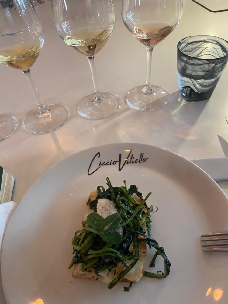 Ricchezza e Povertà 