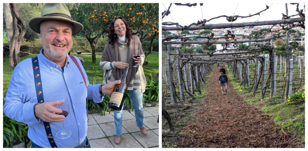 Vigneto La Sibilla – Degustazione internazionale