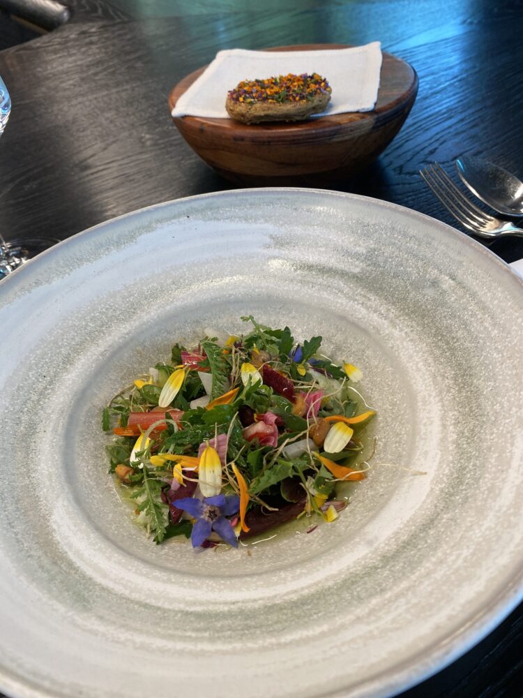 Atelier Moessmer - insalata estiva con la sua cialda