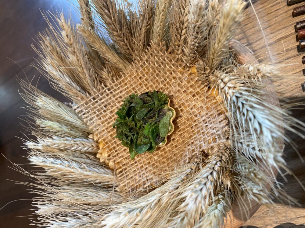 Atelier Moessmer - pasta fillo