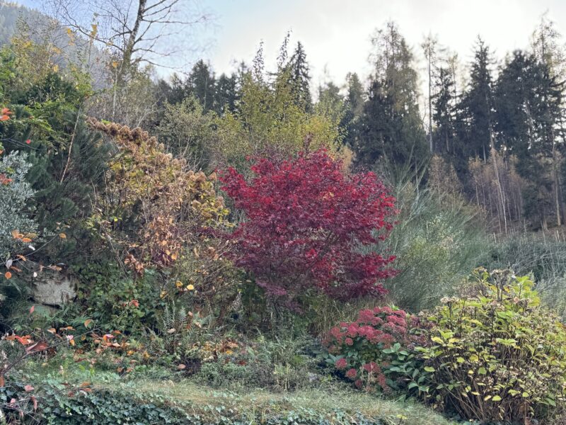 La natura selvaggia in Val Passieria di Rosi Mangger