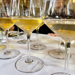 Burde con i vini - Stella di Lemmen