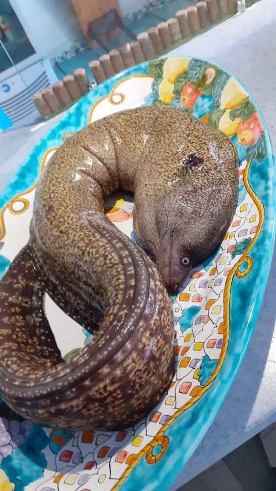 Osteria Sesta Stazione - murena