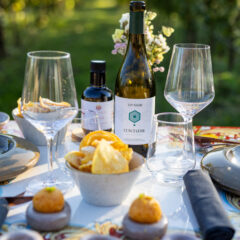 Al Piglio, il vino dell'azienda