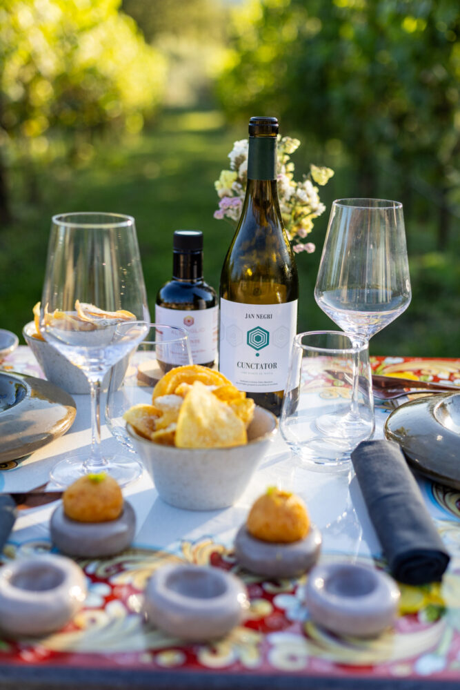 Al Piglio, il vino dell'azienda