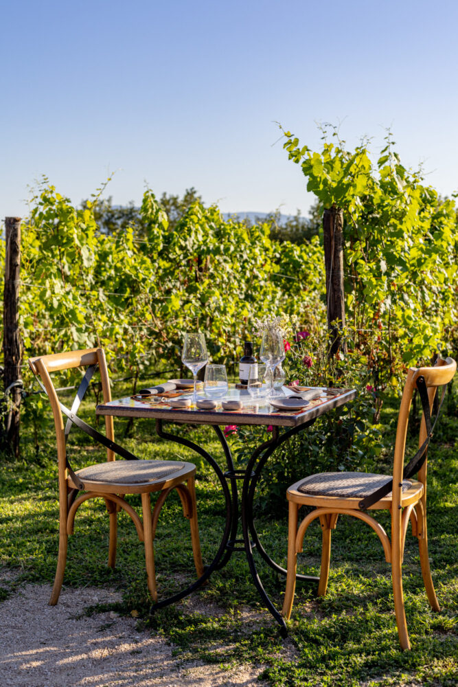 Al Piglio, l'apertivo in vigna