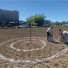 pizzeria Ammaccata - orto sinergico