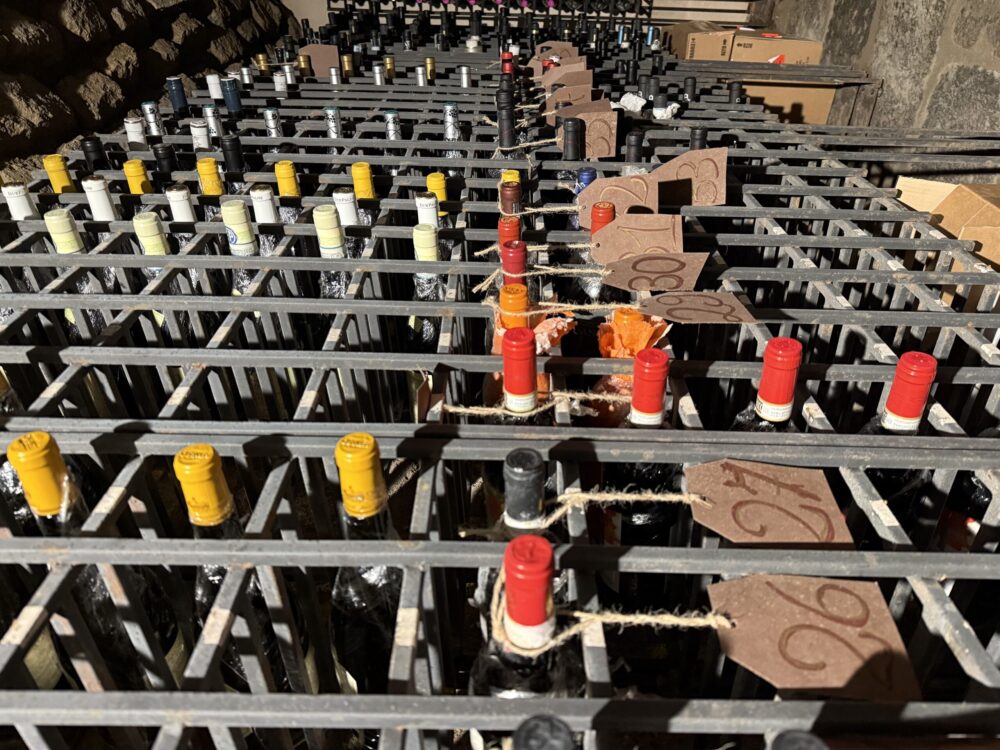 Cantina - Casa Colonica