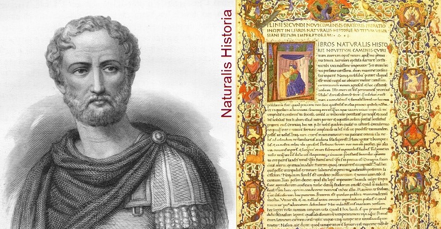 Plinio il Vecchio