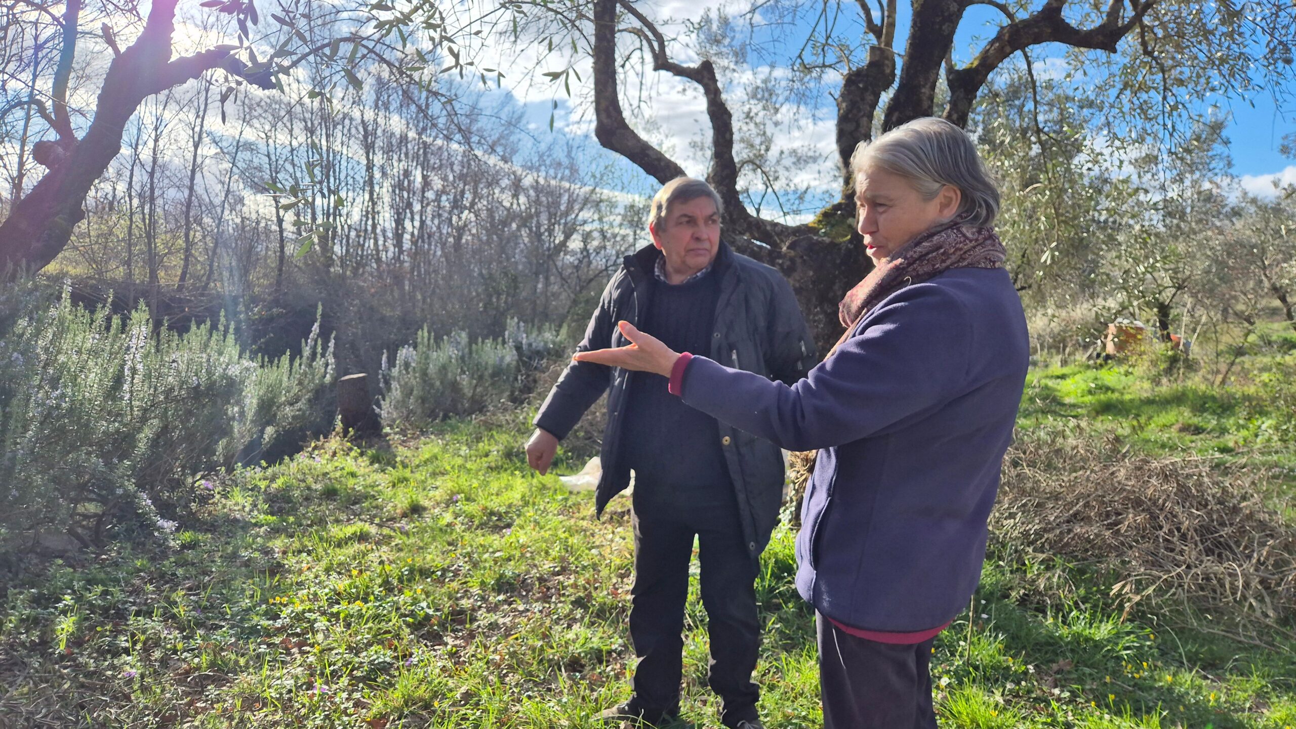 Azienda Albachiara, Corleto Monfortr