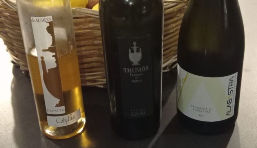 Ristorante Aquadulcis - Vini degustati