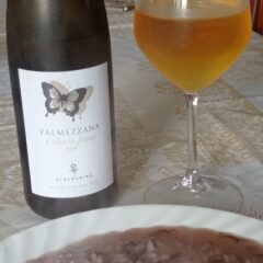 Valmezzana Fiano Cilento Dop 2015 Albamarina