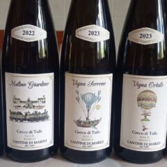 Vini Cantine Di Marzo