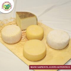 Pecorino Monte Poro DOP