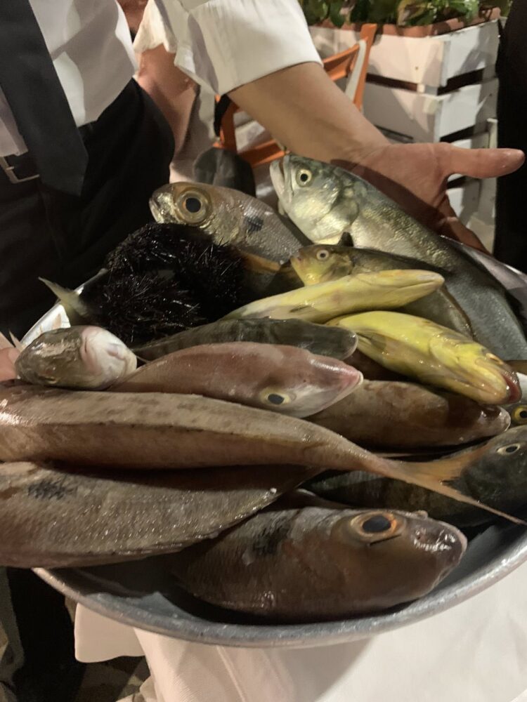 La Taverna del Mozzo, il pescato del giorno