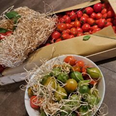 Pomodorino del Piennolo del Vesucio DOP Massereia dello SBirro