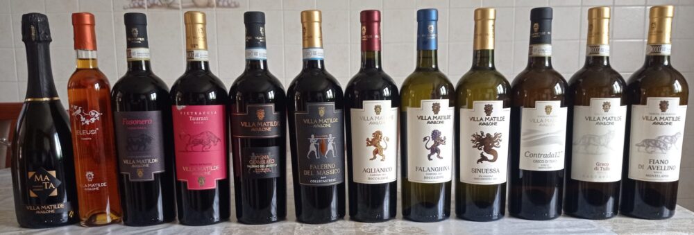 Vini Villa Matilde