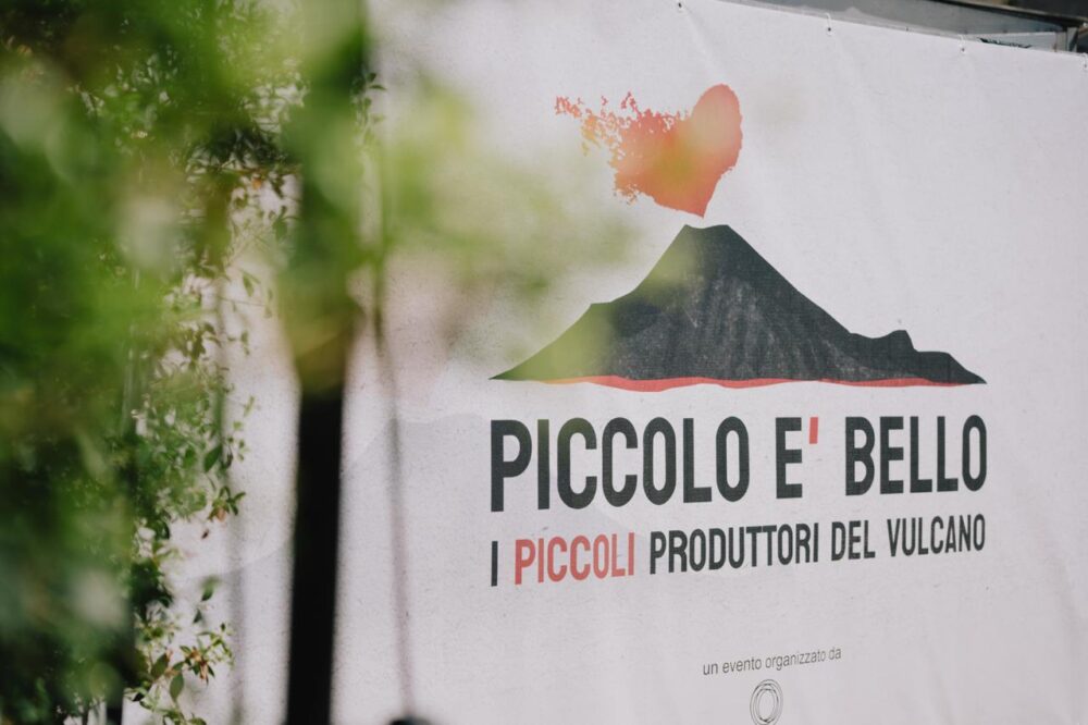 Copertina - Piccolo è bello - Credits CS