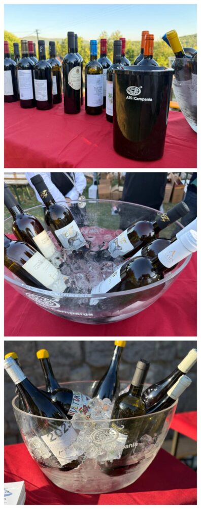 Vino in degustazione - Convegno Alta Campania, Eremo di San Vitaliano, Caserta