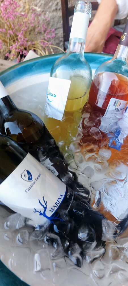 Are Terre del Negroamaro Fest