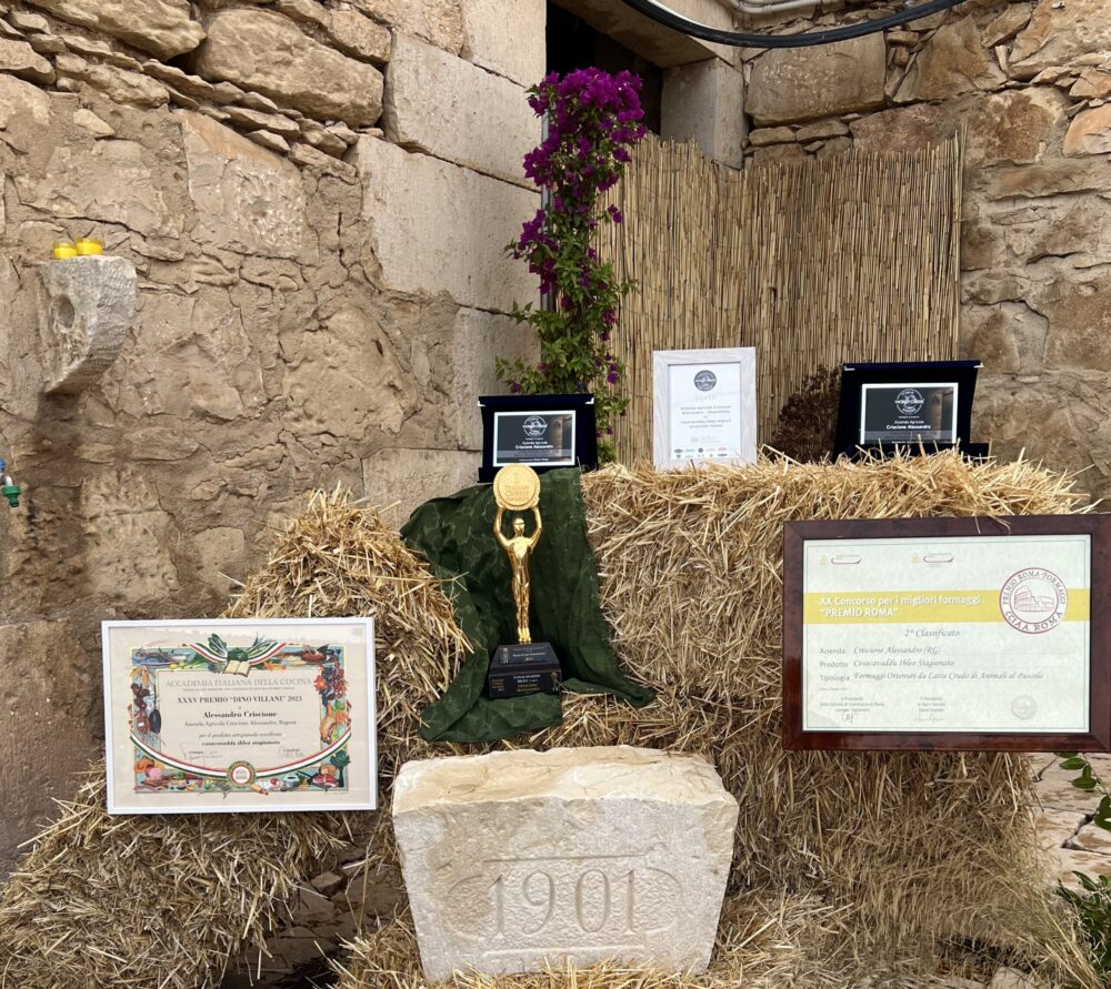  I premi vinti da Alessandro Criscione