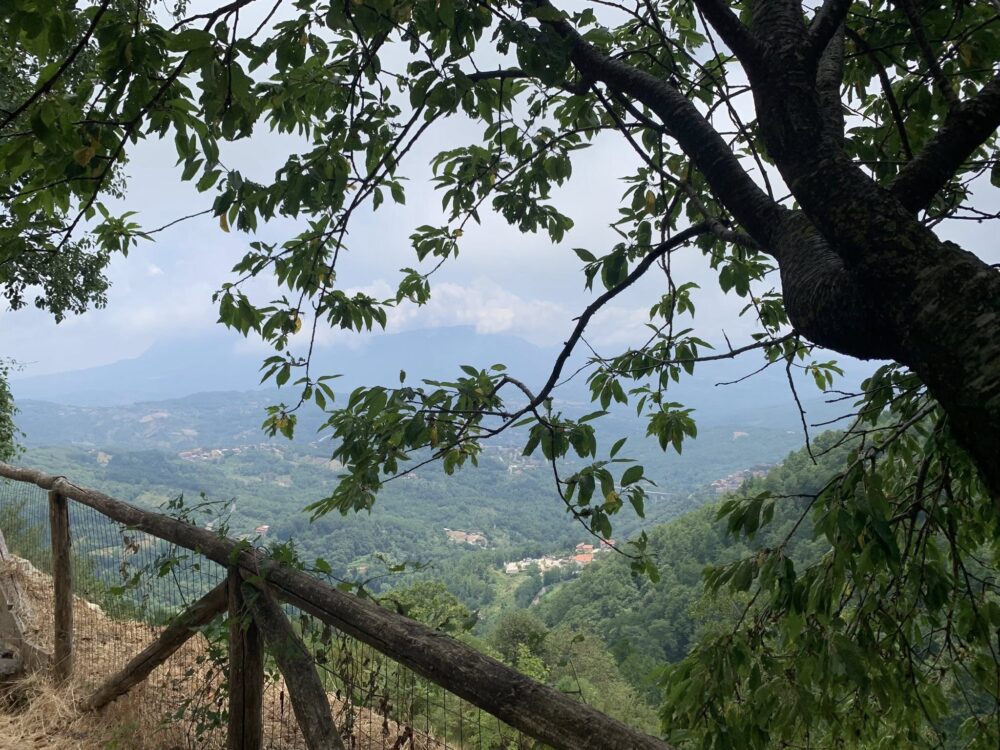 La Baita a Cuccaro Vetere, scorcio panorama