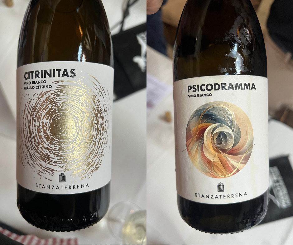 Stanza Terrena - Citrinitas e Psicodramma