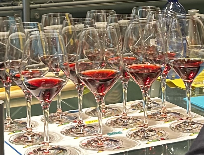 Lucentezza, luminosità dei Nebbiolo di Vigna Gustava