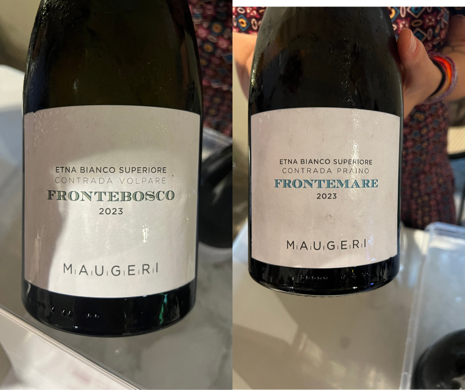 Maugeri - Frontebosco e frontemare