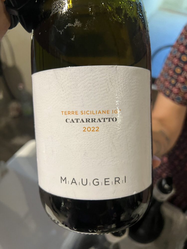 Maugeri - Catarratto