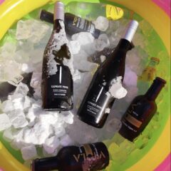 Alcuni vini di Enio Ottaviani