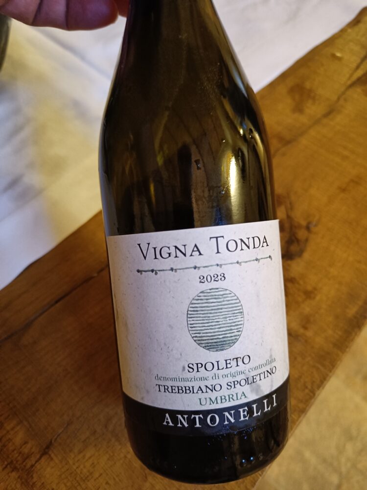 Antonelli - Vigna Tonda