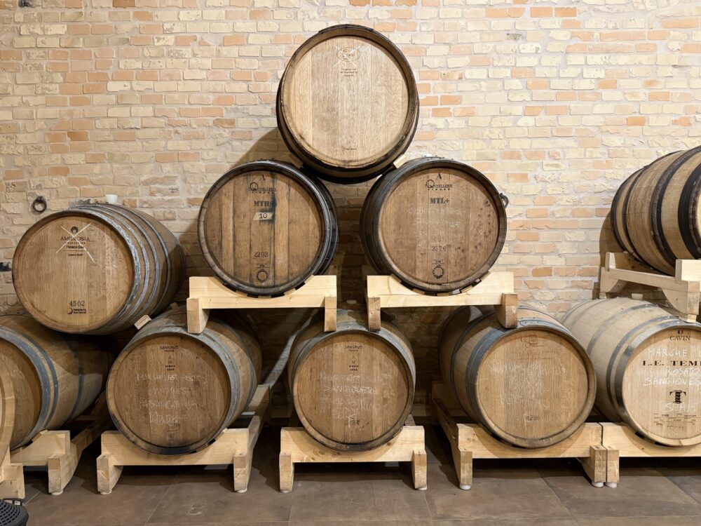 Bottaia - Cossignani L.E. Tempo