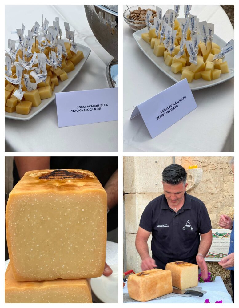 Caciocavallo ibleso - diverse stagionature